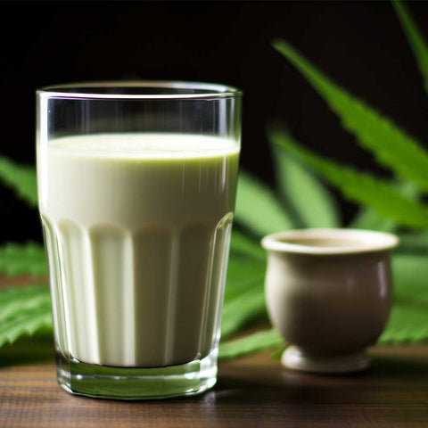 Schritt-für-Schritt-Anleitung: Wie man selber Hanfmilch zubereitet aus Bio Hanfsamen ungeschält