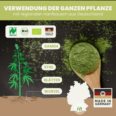 SANUUS Allgäu Bio HanfPROTEIN (50% Eiweiß) 2x1kg - pflanzliches Proteinpulver glutenfrei superfrein gemahlen