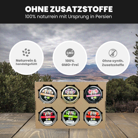 SANUUS Gewürzsalz Kräutersalz mit Meersalz & Kräutern – Würzmischung Feinkost Geschenkset 6x120g (alle Sorten)