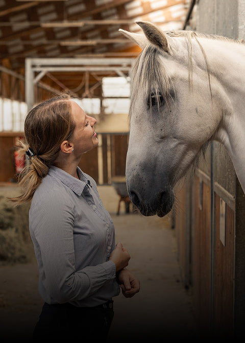Superfood für Menschen, Pferde & Hunde!