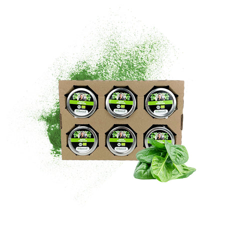 SANUUS Spinat Gewürzsalz Kräutersalz mit Meersalz & Kräutern – Würzmischung für Pasta, Gemüse, Salate & Smoothies