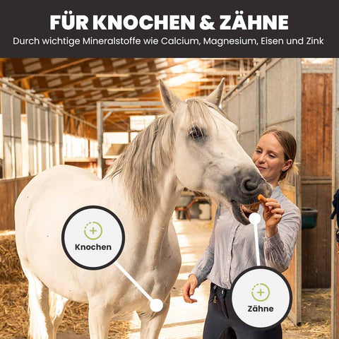 PFERDESTARK Bio Hanf-Karotte Mash Pferdefutter getreidefrei Ergänzungsfutter 5kg