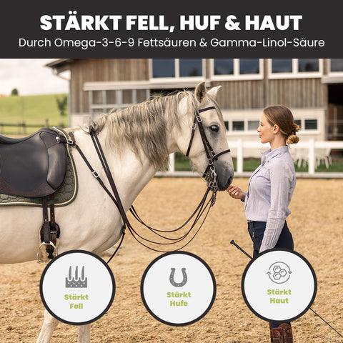 PFERDESTARK Hanf Balance Mash – Mash für Pferde Getreidefrei & zuckerreduziert mit Bio-Hanf, Karotte, Rote Beete & Kürbis (3 kg)