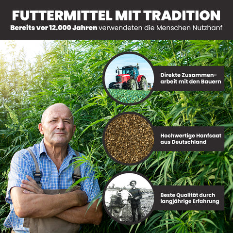 PFERDESTARK Hanf Balance Mash – Mash für Pferde Getreidefrei & zuckerreduziert mit Bio-Hanf, Karotte, Rote Beete & Kürbis (3 kg)