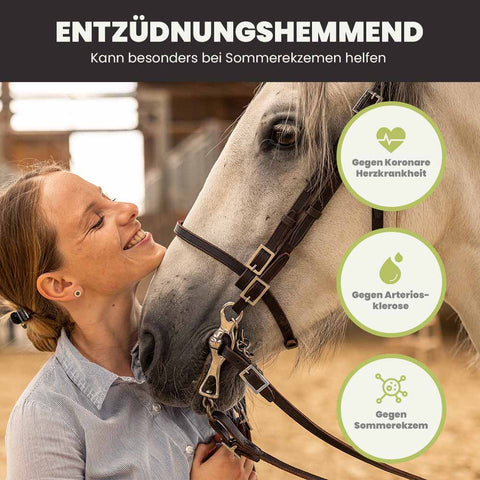PFERDESTARK Bio Hanfpellets als FLOCKEN Pferdefutter getreidefrei AUCH für Senioren Pferde