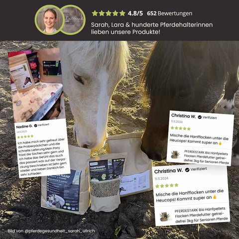PFERDESTARK Bio Hanfpellets für Pferde Pferdefutter 10kg Beutel