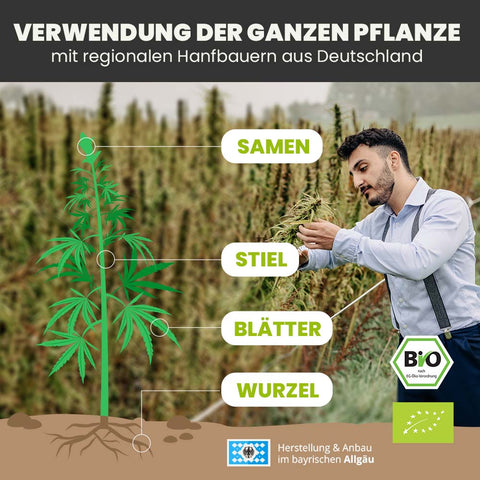 SANUUS® Bio Hanfsamen geschält Vorteilspack